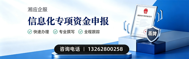 河源信息化专项资金申报服务