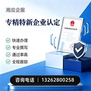 河源专精特新企业申报服务