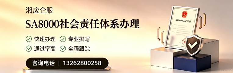 河源SA8000社会责任体系认证服务