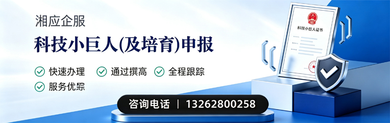 河源科技小巨人及培育企业申报服务