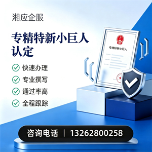 河源专精特新小巨人申报服务
