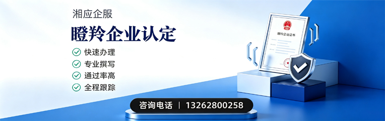 河源瞪羚企业认定申报服务