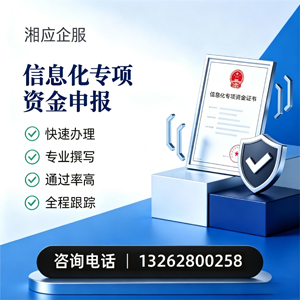 河源信息化专项资金申报服务