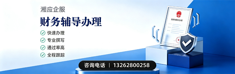 河源财务辅导申请服务