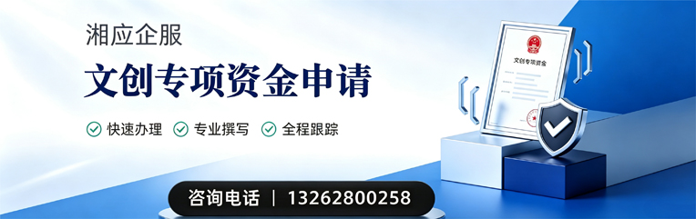 河源文创专项资金申报服务