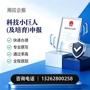 河源科技小巨人及培育企业申报服务