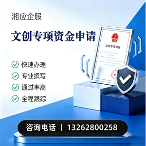 河源文创专项资金申报服务