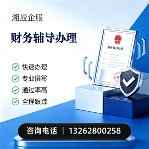 河源财务辅导申请服务