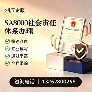 河源SA8000社会责任体系认证服务