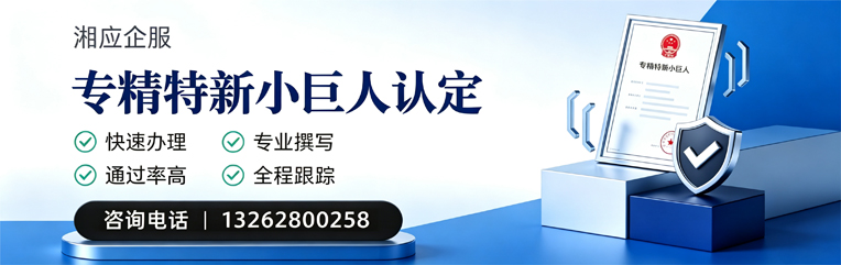 河源专精特新小巨人申报服务